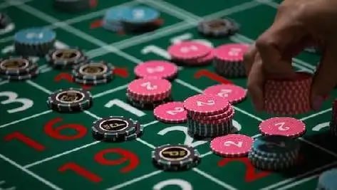 fun 1955 bet